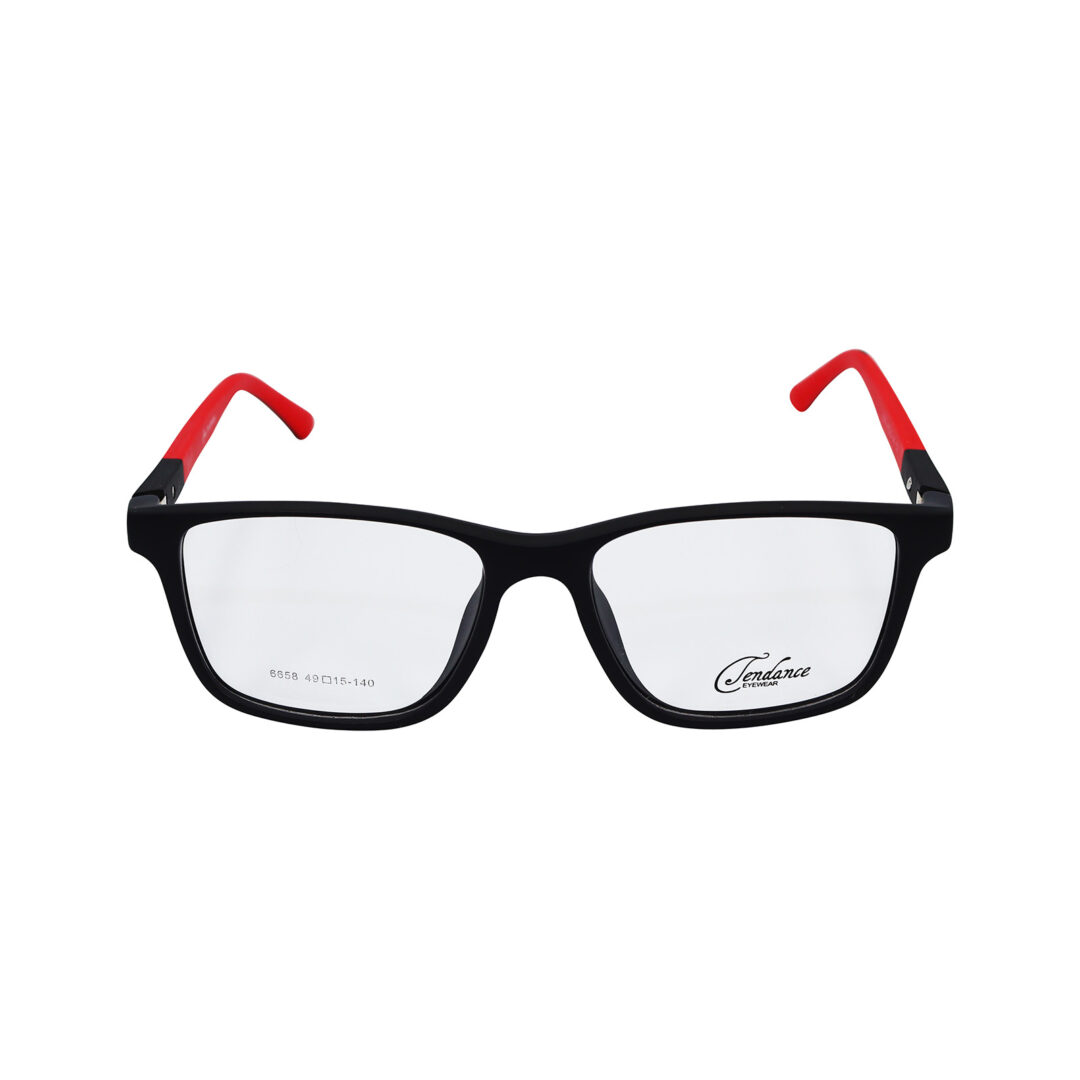 Tendance Eyewear 6658 C3